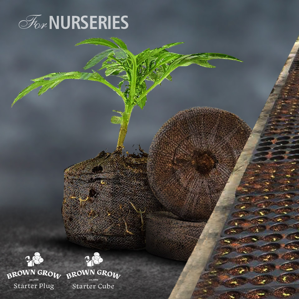 Browngrow coco peat for nusery plants
